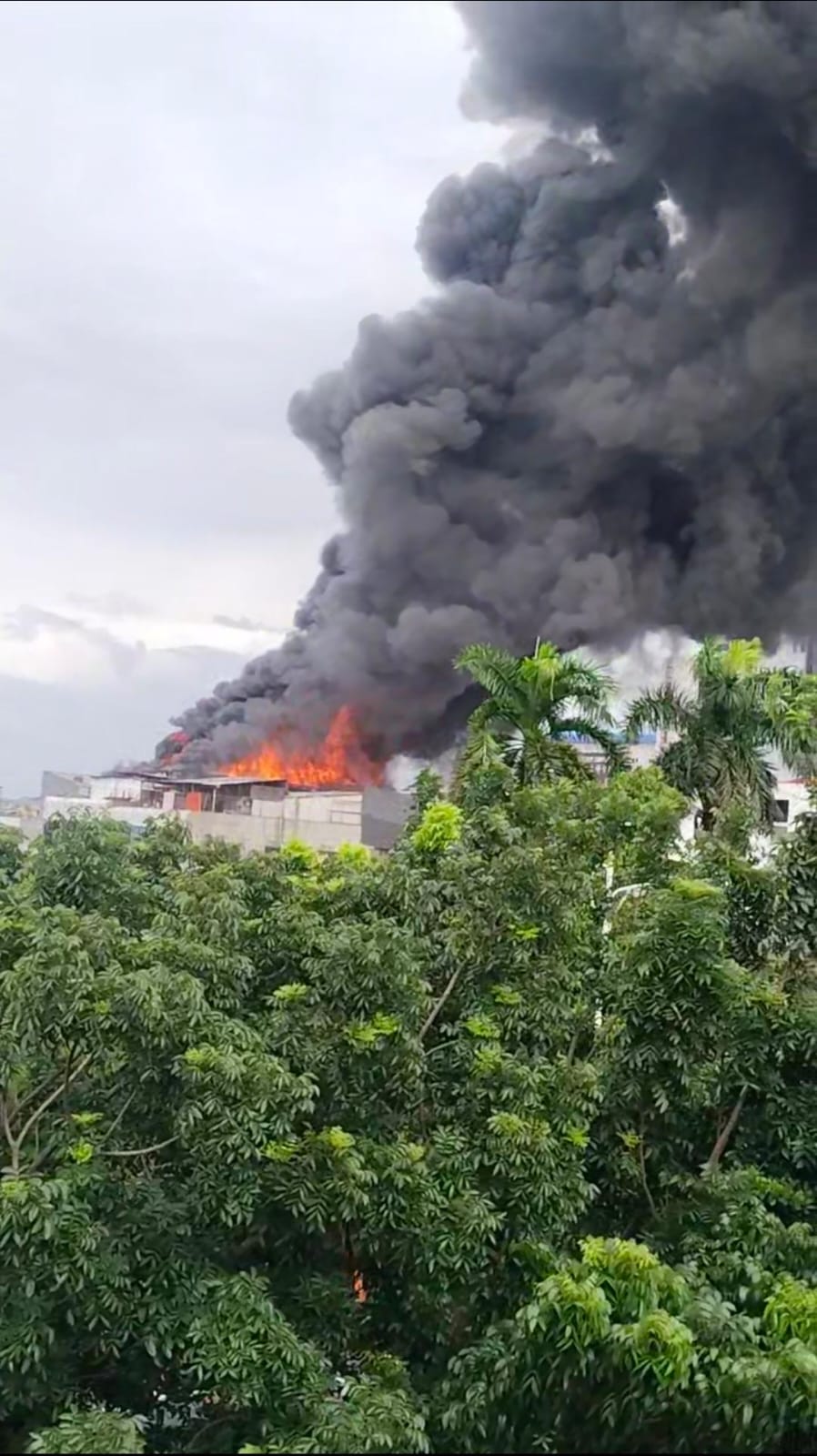 Api Berhasil Dikendalikan: Kebakaran Hebat di Jelambar Baru Jakbar Tak Ada Korban Jiwa